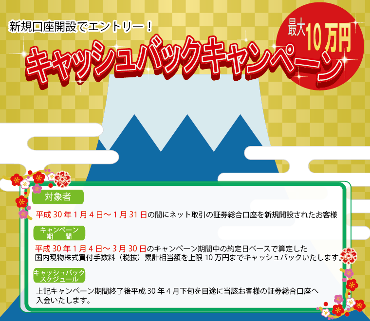ネットキャンペーン.png